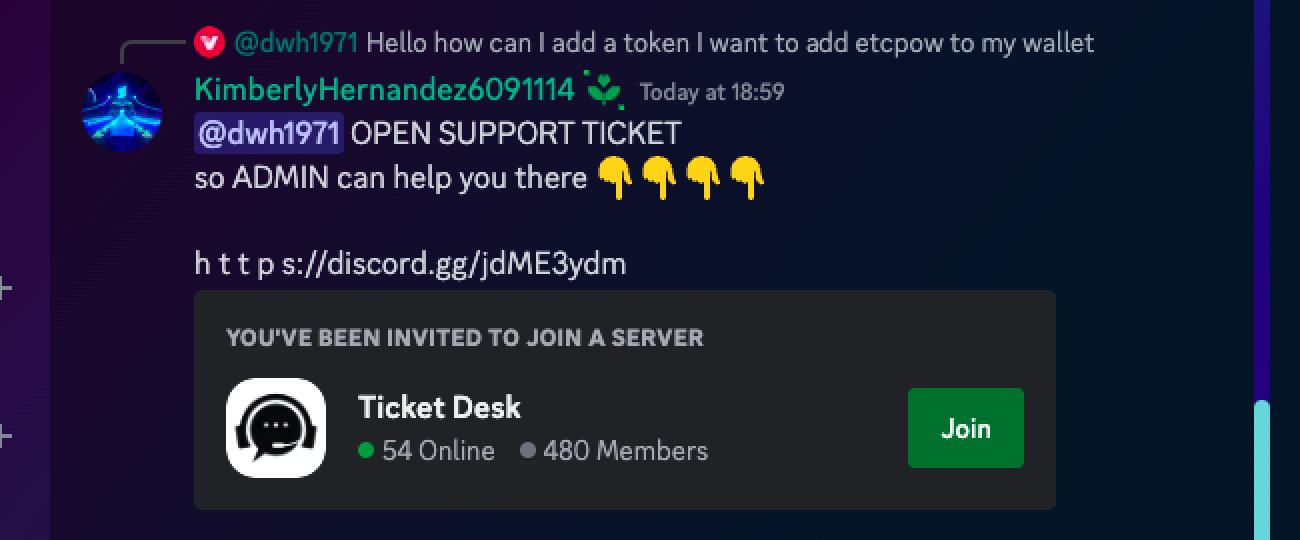 Fake Discord tech support server.png