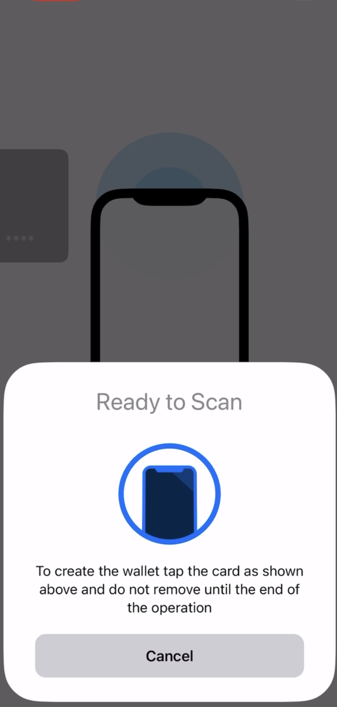 How to set up the Tangem Wallet with a seed phrase_14.PNG