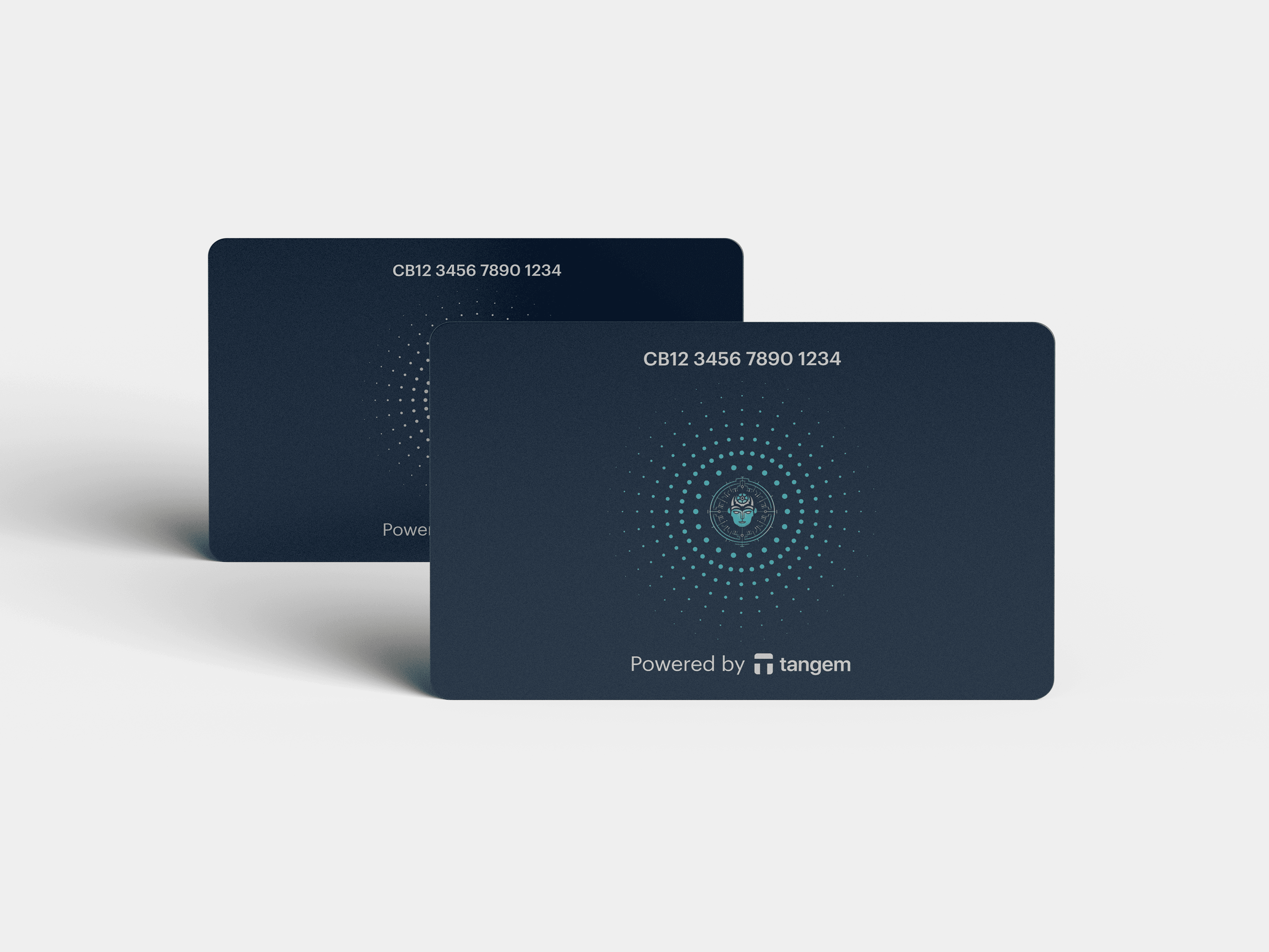 Powered by Tangem BAD Idea AI wallet.png