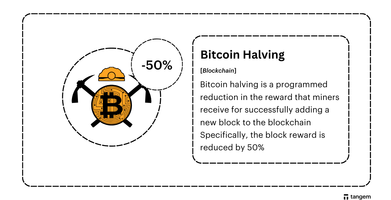 what is Bitcoin Halving.png