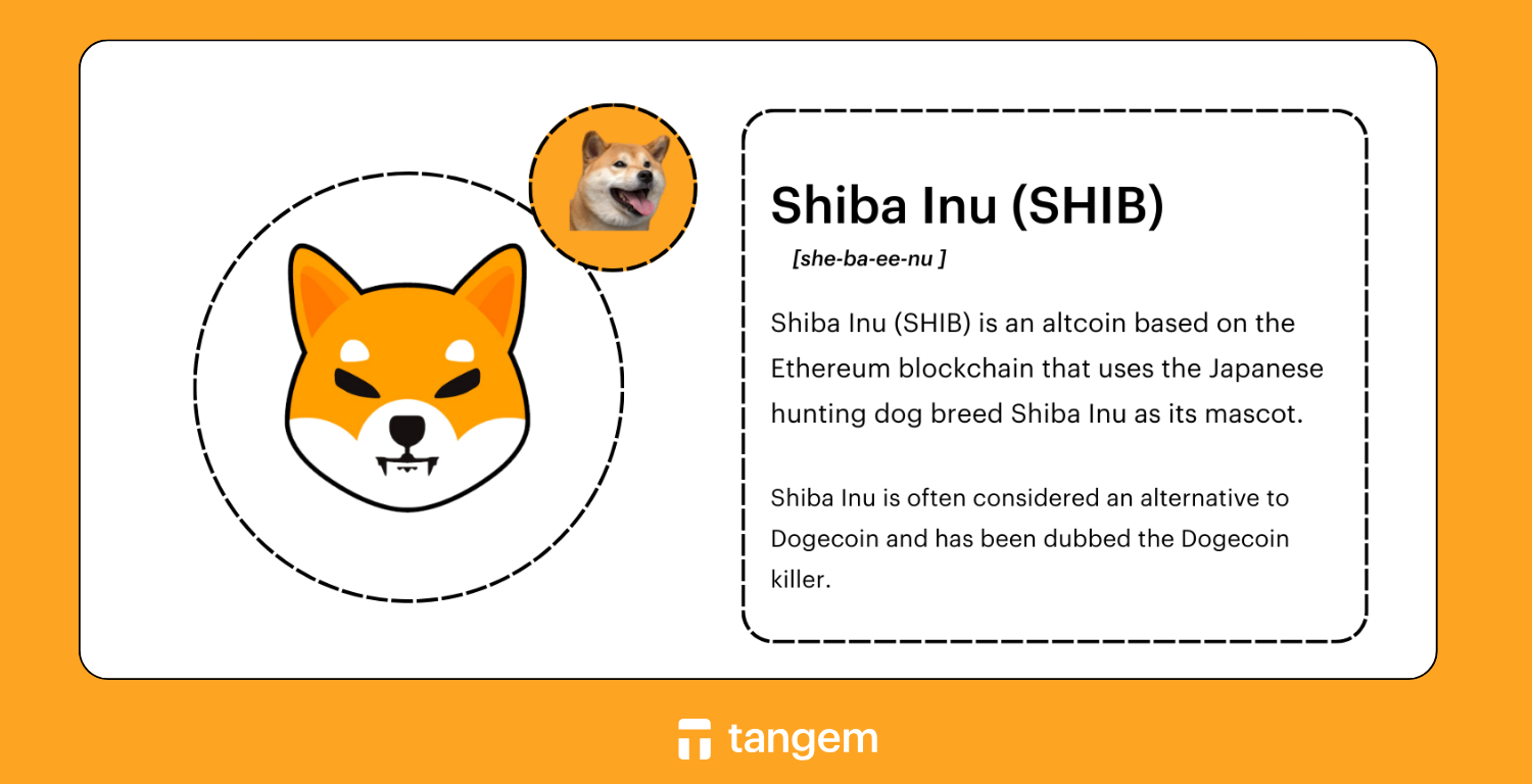 what is shiba inu.png